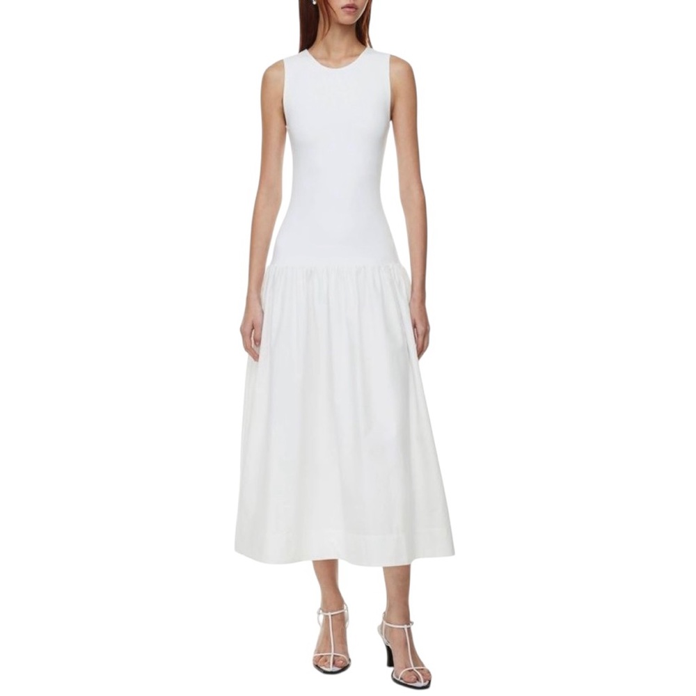 Aritzia Babaton Worldly Dress